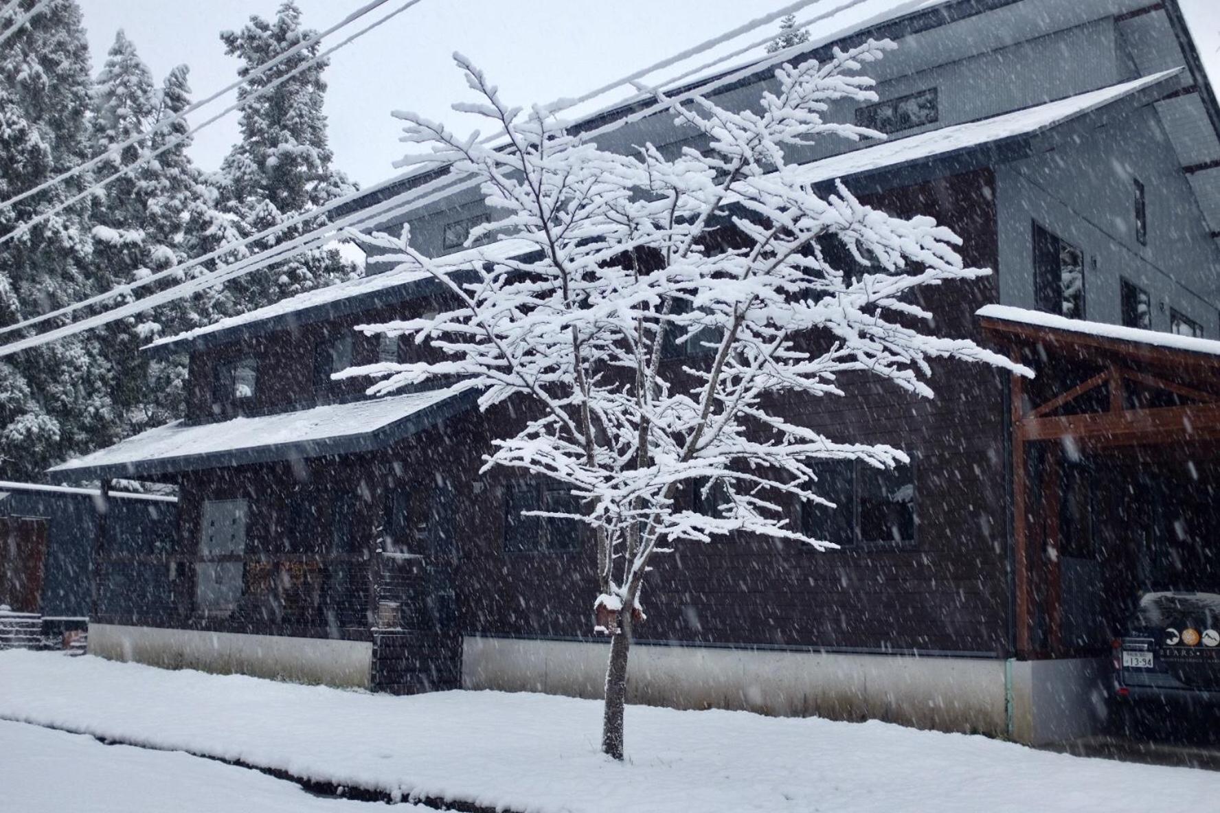 Bears Den Mountain Lodge Hakuba Exterior foto